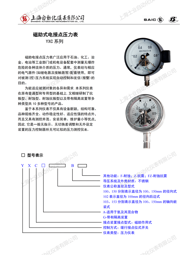 壓力表樣本_29.png